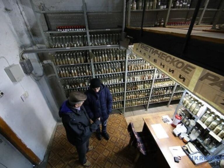 Entrevista: Ángeles Lucas "La operación de salvar las semillas de Jarkov se consideró de emergencia"