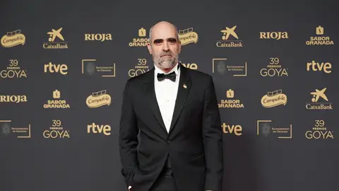 El actor Luis Tosar posa en la alfombra roja de la 39º edición de los Premios Goya El actor Luis Tosar posa en la alfombra roja de la 39º edición de los Premios Goya