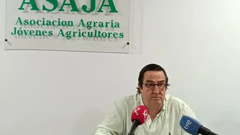 Asaja Extremadura solicita 3 millones de euros para abatir 50.000 jabalíes y frenar la peste porcina en la región Asaja Extremadura solicita 3 millones de euros para abatir 50.000 jabalíes y frenar la peste porcina en la región