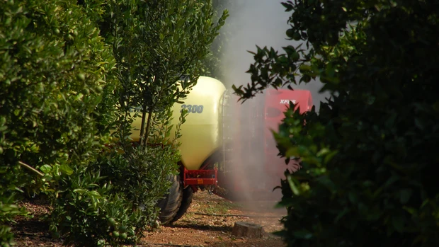 LA UNIÓ advierte de pérdidas para los agricultores valencianos por la plena aplicación del CBAM