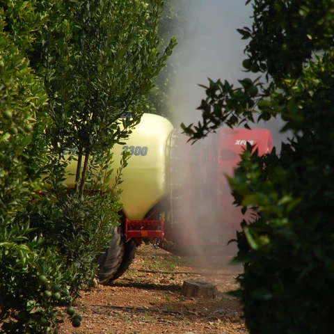 LA UNIÓ advierte de pérdidas para los agricultores valencianos por la plena aplicación del CBAM