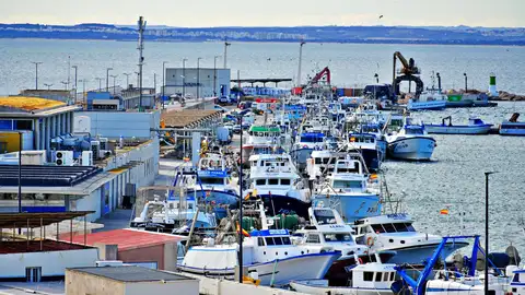 Pesqueros en el puerto de Santa Pola. Pesqueros en el puerto de Santa Pola.