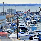 Pesqueros en el puerto de Santa Pola.