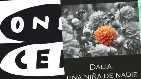 Libro Dalia Libro Dalia