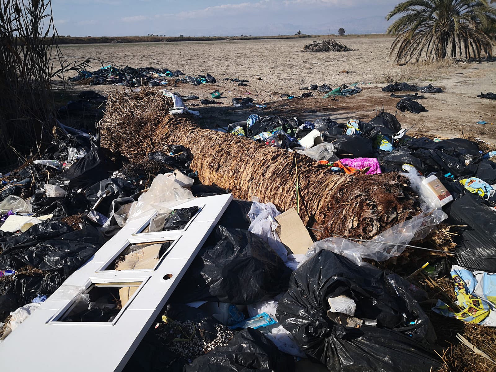 AHSA reclama de nuevo la limpieza de vertidos en el entorno del espacio natural protegido Los Carrizales de Elche AHSA reclama de nuevo la limpieza de vertidos en el entorno del espacio natural protegido Los Carrizales de Elche