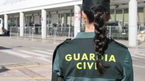 Detenidas nueve personas por provocar un altercado en un avi&oacute;n en Palma