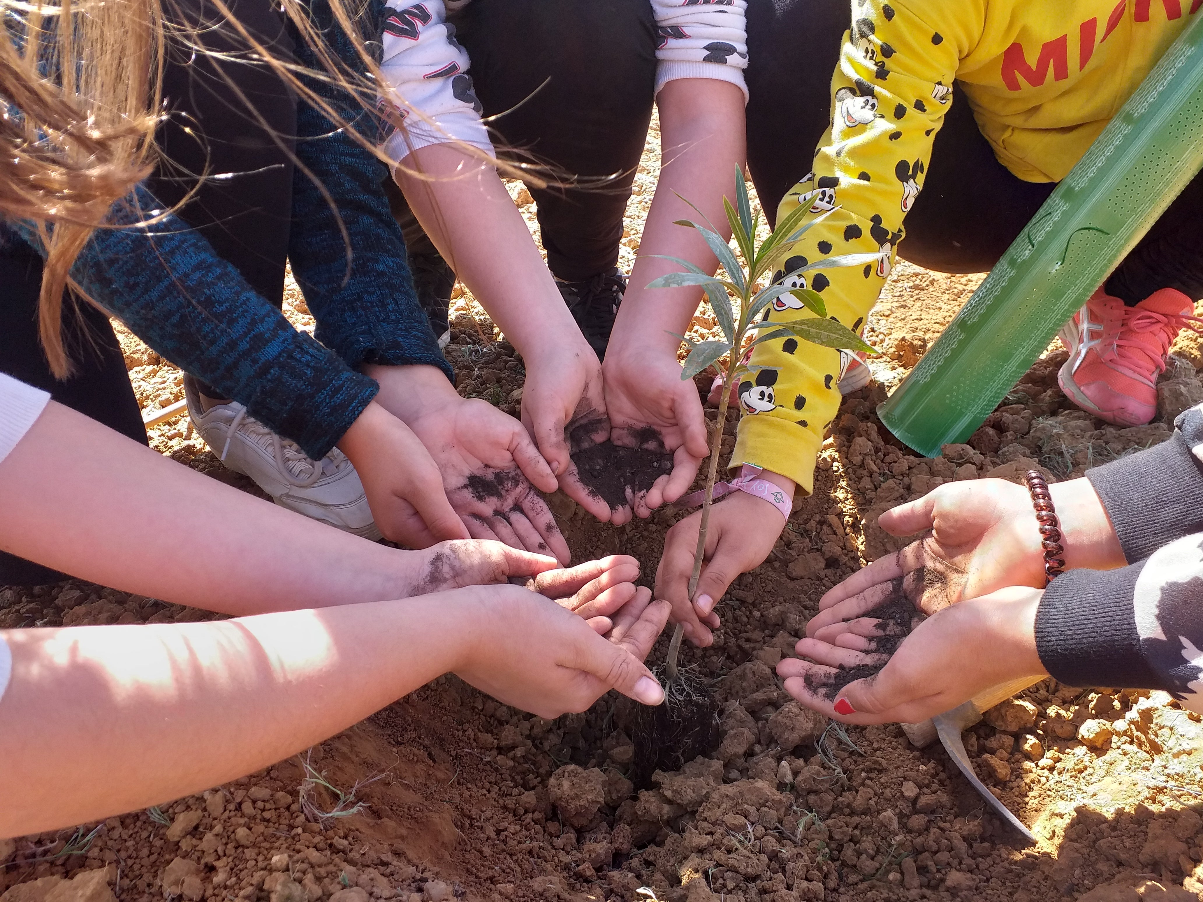 EMASESA impulsa la educación ambiental con más de 8.000 participantes en 2025 y una oferta educativa en expansión EMASESA impulsa la educación ambiental con más de 8.000 participantes en 2025 y una oferta educativa en expansión