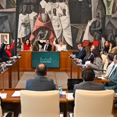 Pleno de la Diputación de Ciudad Real Pleno de la Diputación de Ciudad Real