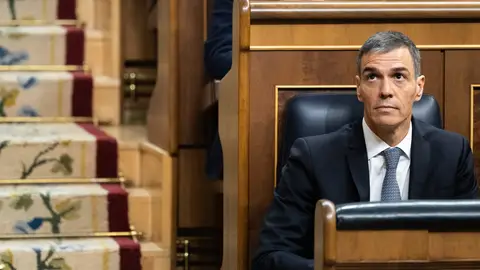 El presidente del Gobierno, Pedro Sánchez, en el Congreso de los Diputados El presidente del Gobierno, Pedro Sánchez, en el Congreso de los Diputados