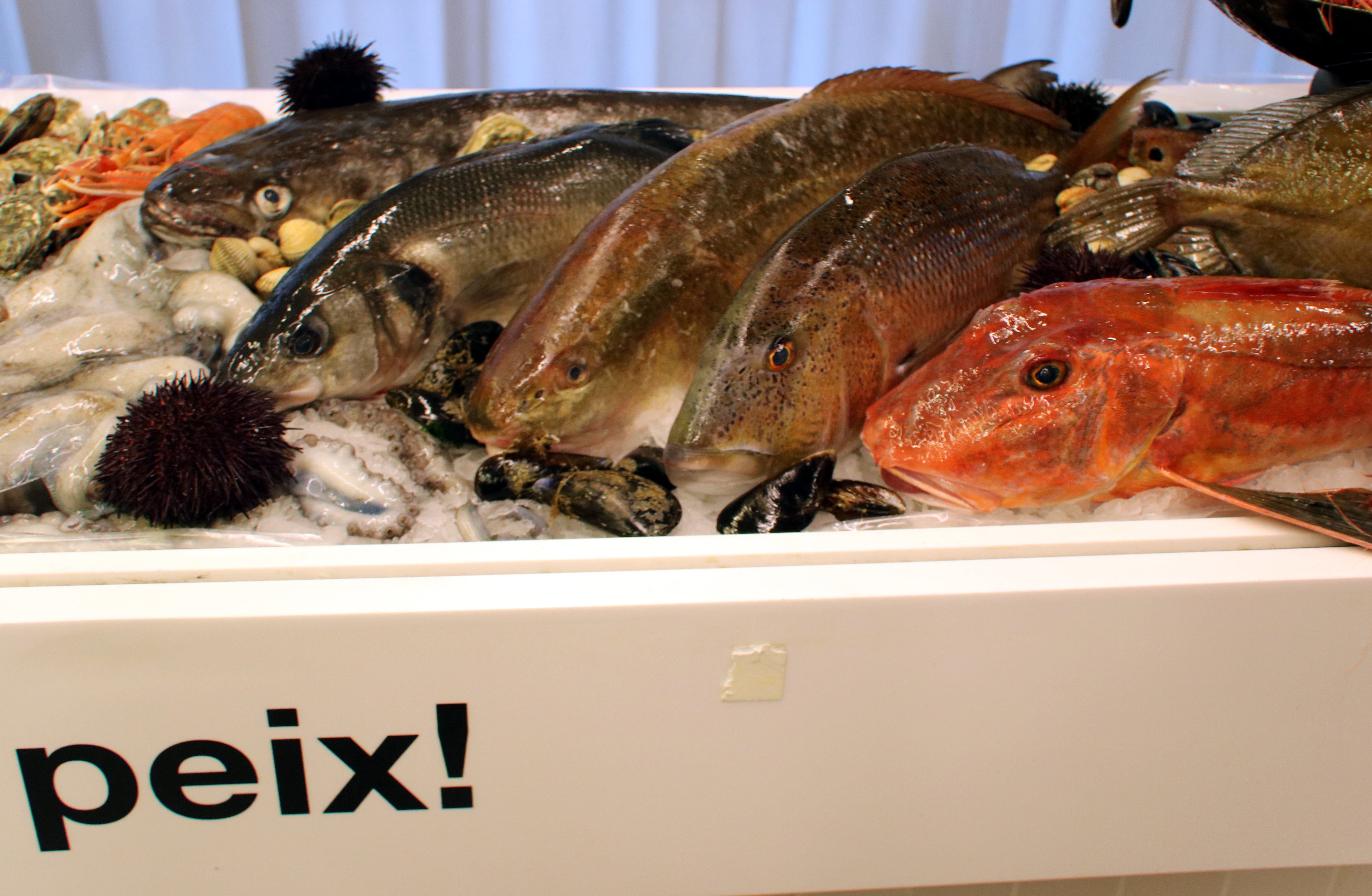 Mercabarna distribuirà 100.000 tones de producte fresc aquest Nadal Mercabarna distribuirà 100.000 tones de producte fresc aquest Nadal