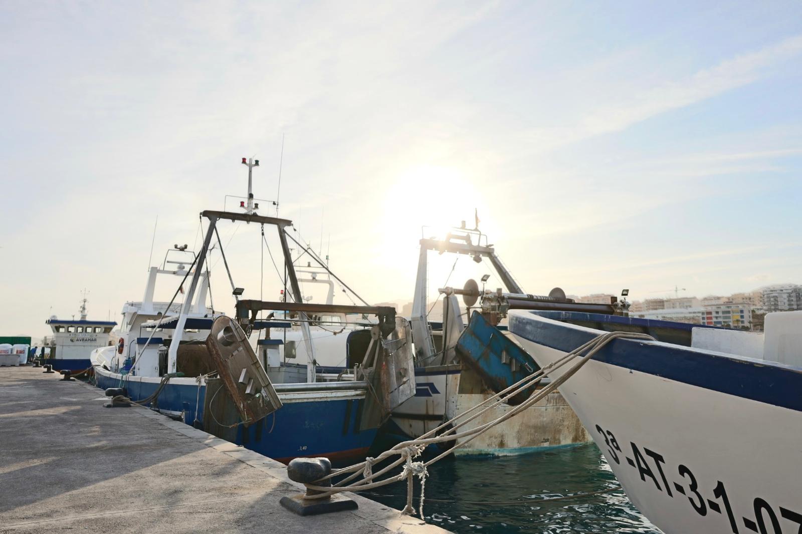 La UE permitirá a la flota del Mediterráneo pescar un total de 143 días en el año 2026 La UE permitirá a la flota del Mediterráneo pescar un total de 143 días en el año 2026