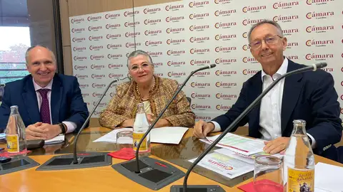 La Cámara de Comercio de Castellón cierra 2025 con un superávit histórico de más de 1,2 millones de euros La Cámara de Comercio de Castellón cierra 2025 con un superávit histórico de más de 1,2 millones de euros