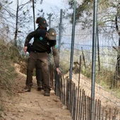 Les crisis agroalimentàries que colpegen Catalunya avancen favorablement Les crisis agroalimentàries que colpegen Catalunya avancen favorablement