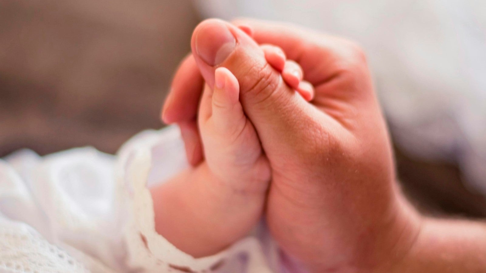 Catalá concede casi mil ‘cheques bebé’ de 300 euros a los recién nacidos en València durante el primer año de vigencia de la ayuda Catalá concede casi mil ‘cheques bebé’ de 300 euros a los recién nacidos en València durante el primer año de vigencia de la ayuda