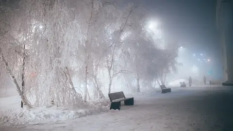 Los árboles, calles y bancos congelados debido al frío Los árboles, calles y bancos congelados debido al frío
