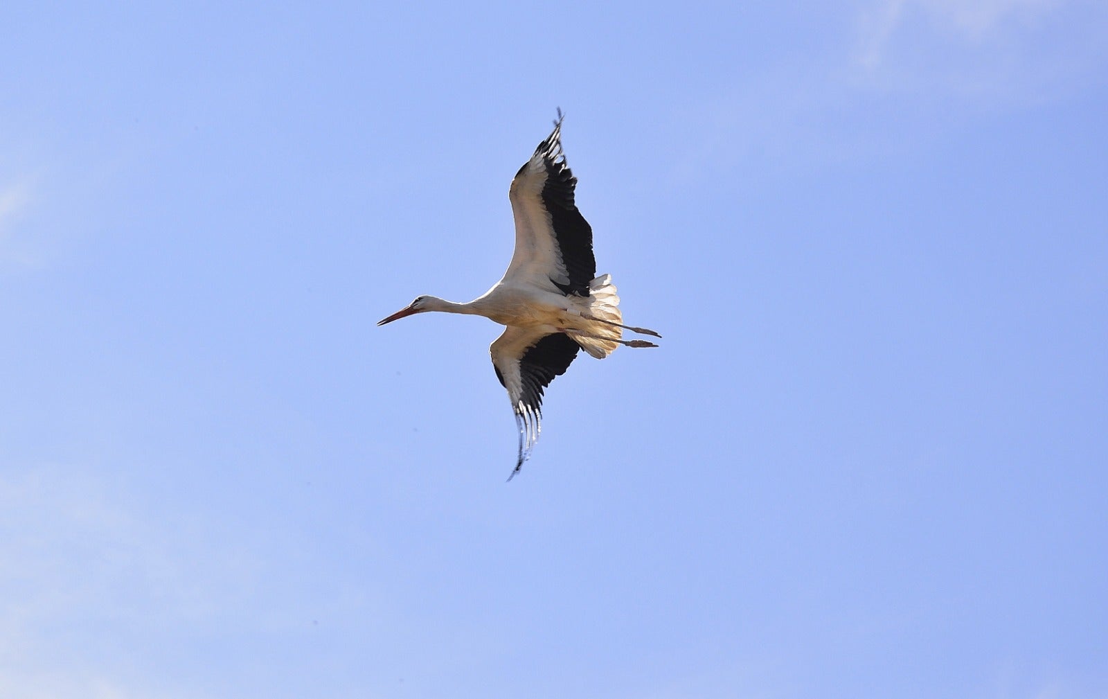 Noticias Alcalá de Henares matinal 16/12/2025 Noticias Alcalá de Henares matinal 16/12/2025