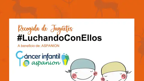 Empresas alicantinas se vuelcan esta Navidad con ASPANION a través de la campaña “Luchando con Ellos” Empresas alicantinas se vuelcan esta Navidad con ASPANION a través de la campaña “Luchando con Ellos”