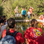 El Grefubosque