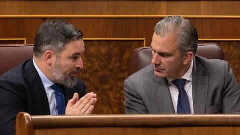 Santiago Abascal y Javier Ortega Smith en el Congreso de los Diputados