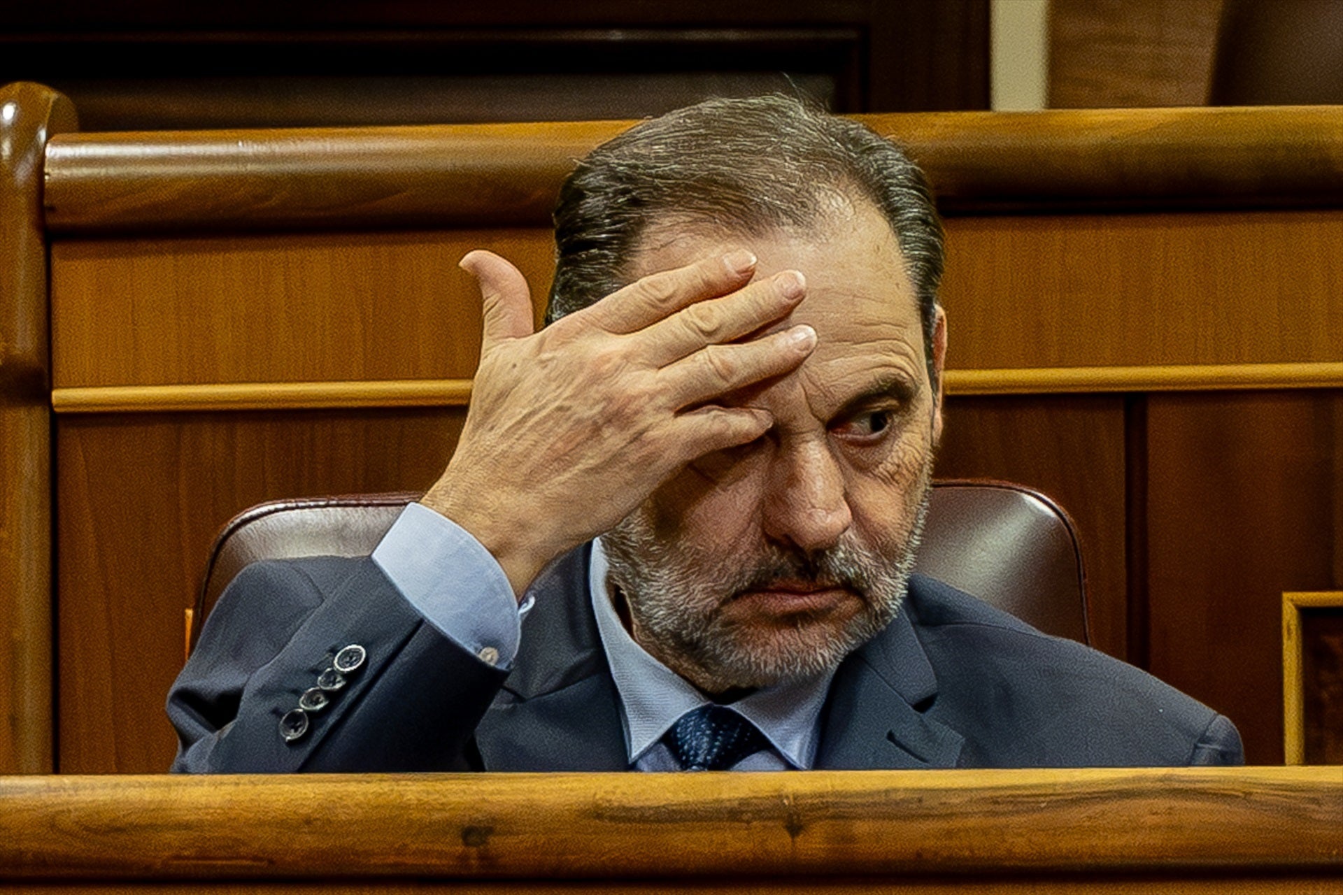 Imagen de José Luis Ábalos en el Congreso de los Diputados. Imagen de José Luis Ábalos en el Congreso de los Diputados.