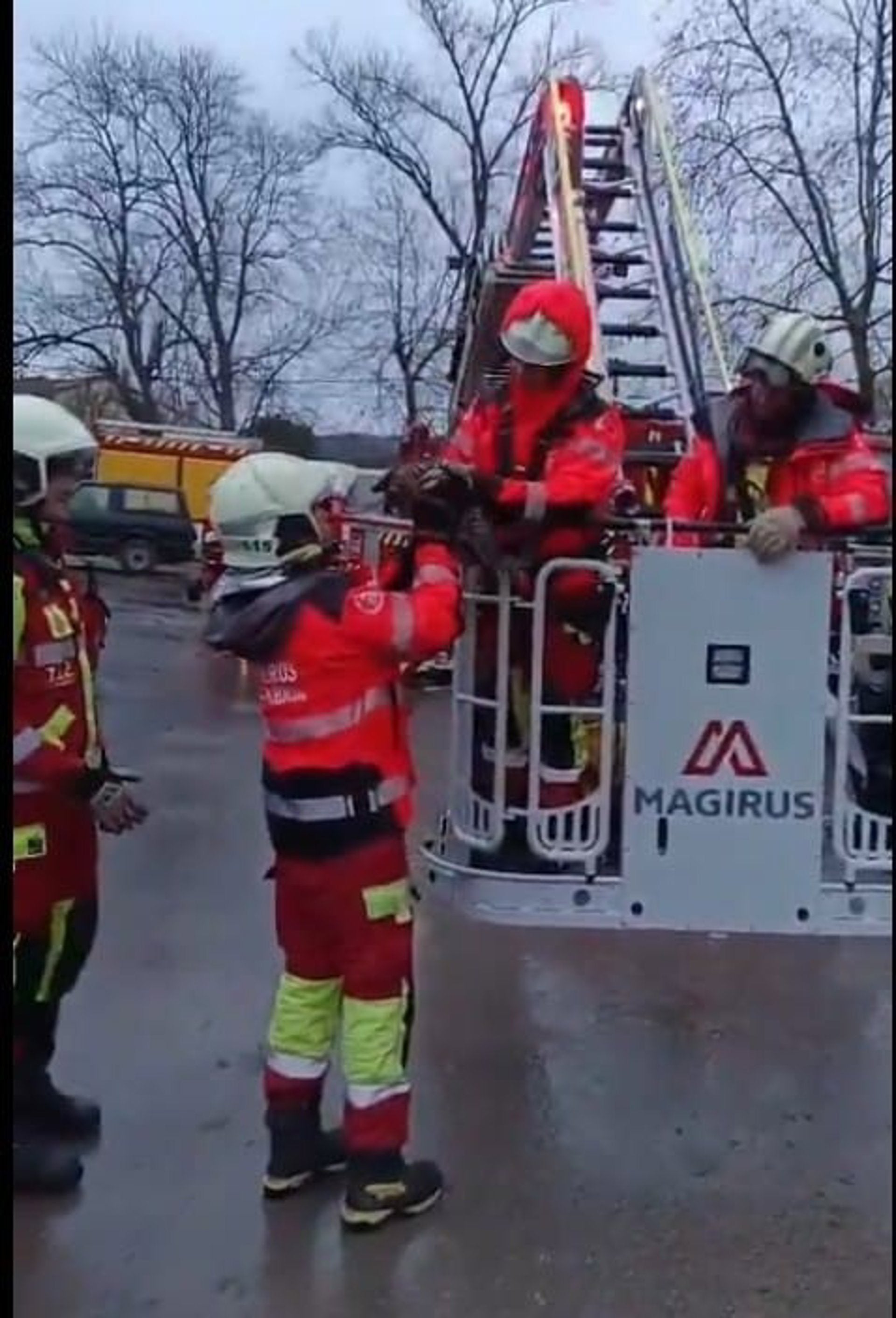 Bomberos de Cantabria rescatan a un gato que llevaba tres días en la copa de un chopo en Hazas de Cesto Bomberos de Cantabria rescatan a un gato que llevaba tres días en la copa de un chopo en Hazas de Cesto