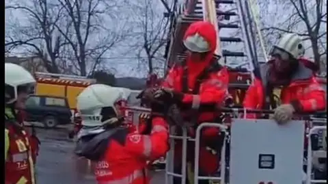 Bomberos de Cantabria rescatan a un gato que llevaba tres días en la copa de un chopo en Hazas de Cesto Bomberos de Cantabria rescatan a un gato que llevaba tres días en la copa de un chopo en Hazas de Cesto