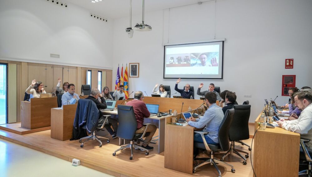 La nueva ordenanza se votó en el último pleno del año de Formentera