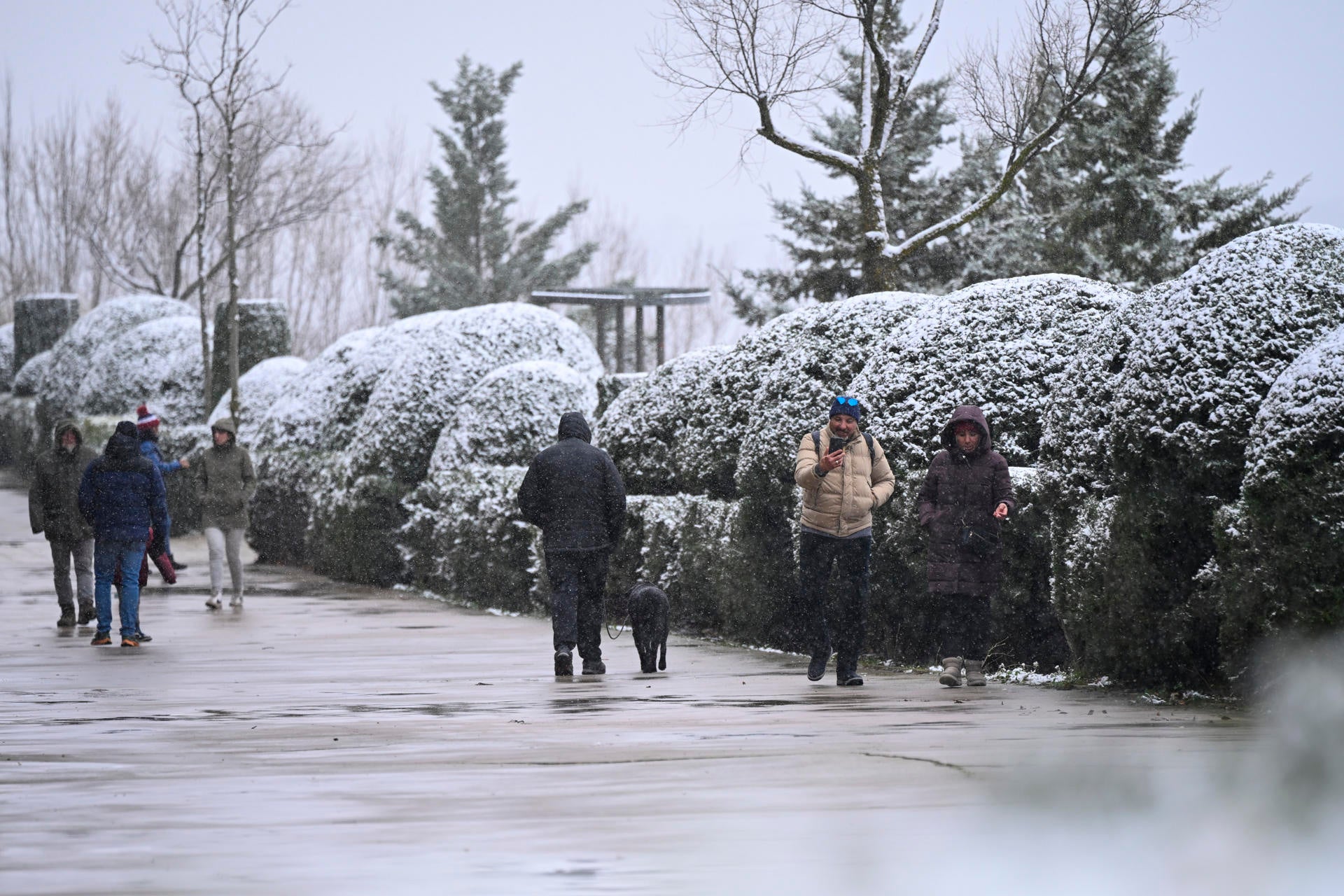 Lluvia, nieve y temperaturas de hasta seis bajo cero: estas son las zonas más afectadas Lluvia, nieve y temperaturas de hasta seis bajo cero: estas son las zonas más afectadas