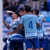 El Málaga celebra un gol en La Rosaleda