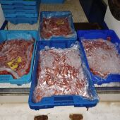 Parte de la gamba roja inmovilizada en Santa Pola por la Guardia Civil.