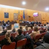 El pleno de Benidorm acuerda por unanimidad la prórroga del contrato de gestión de las playas por un año más 