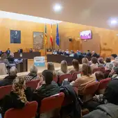 El pleno de Benidorm acuerda por unanimidad la prórroga del contrato de gestión de las playas por un año más El pleno de Benidorm acuerda por unanimidad la prórroga del contrato de gestión de las playas por un año más