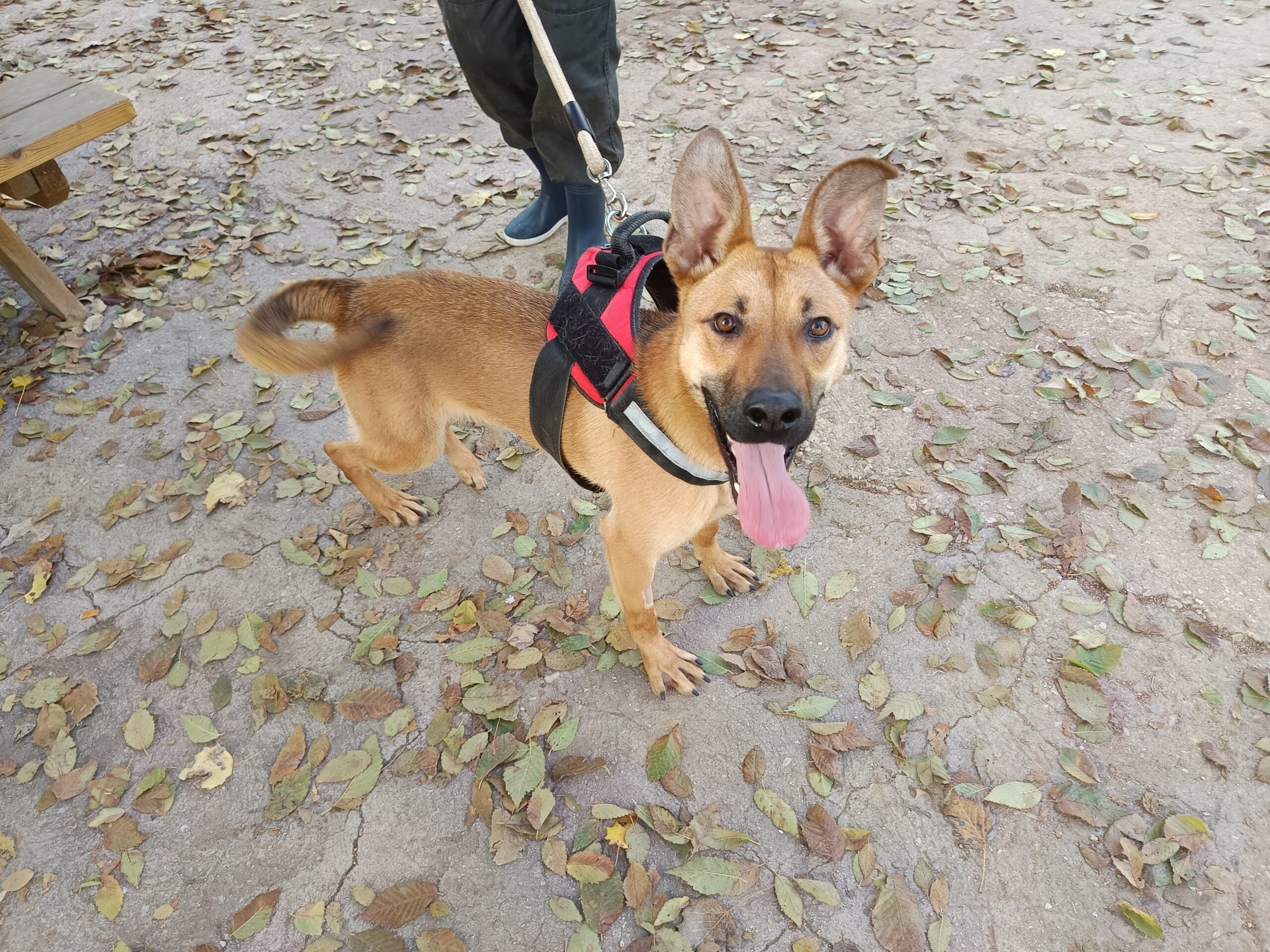 Más de uno Alcalá 29/12/2025 Más de uno Alcalá 29/12/2025