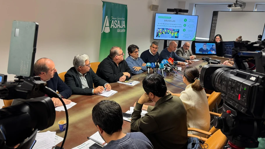 Bruselas y la subida de costes lastran la rentabilidad del sector agrario alicantino en 2025, pese a la recuperación productiva