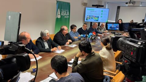 Bruselas y la subida de costes lastran la rentabilidad del sector agrario alicantino en 2025, pese a la recuperación productiva Bruselas y la subida de costes lastran la rentabilidad del sector agrario alicantino en 2025, pese a la recuperación productiva