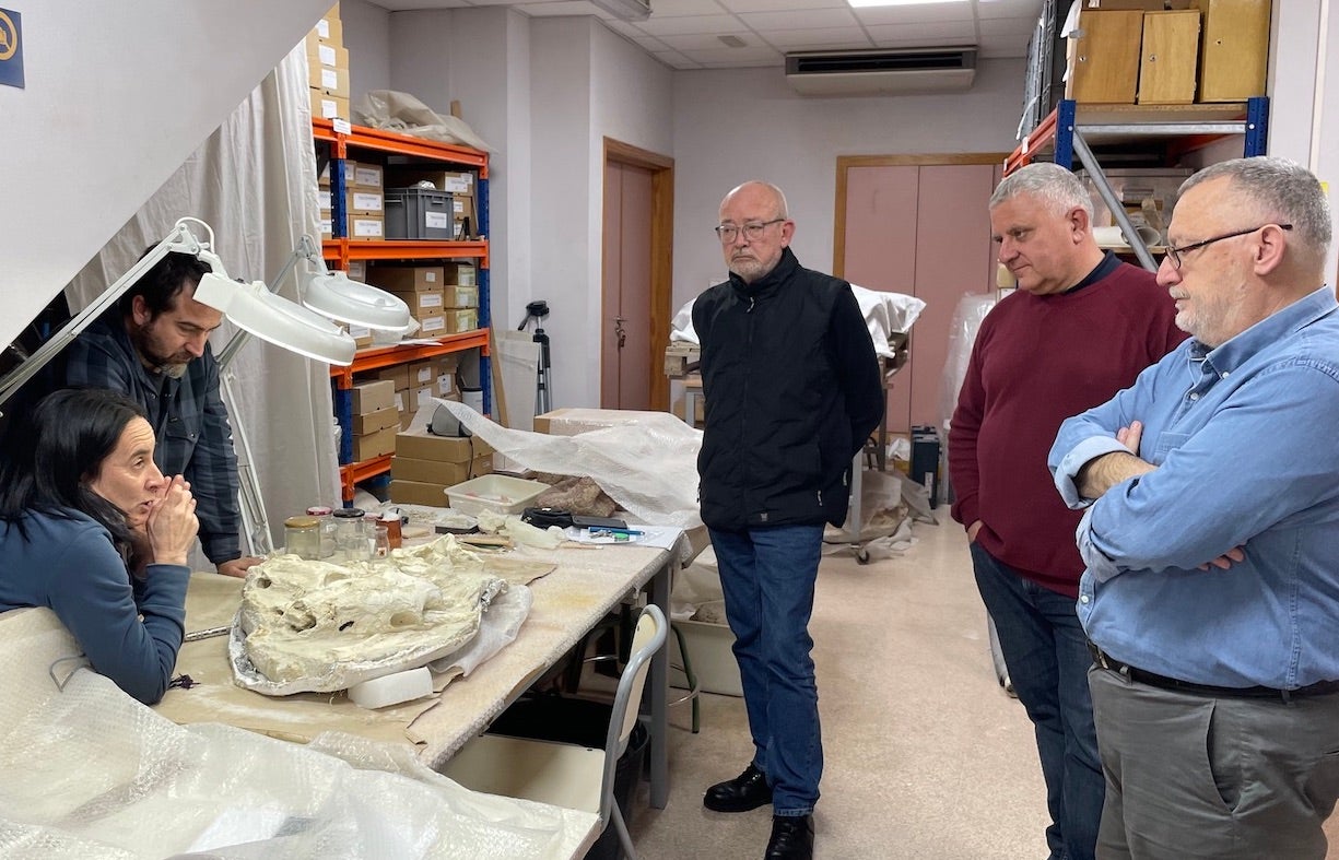 El Museo Paleontológico de Elche se implica en la recuperación de los restos de un carnívoro desconocido encontrados en Caudete El Museo Paleontológico de Elche se implica en la recuperación de los restos de un carnívoro desconocido encontrados en Caudete