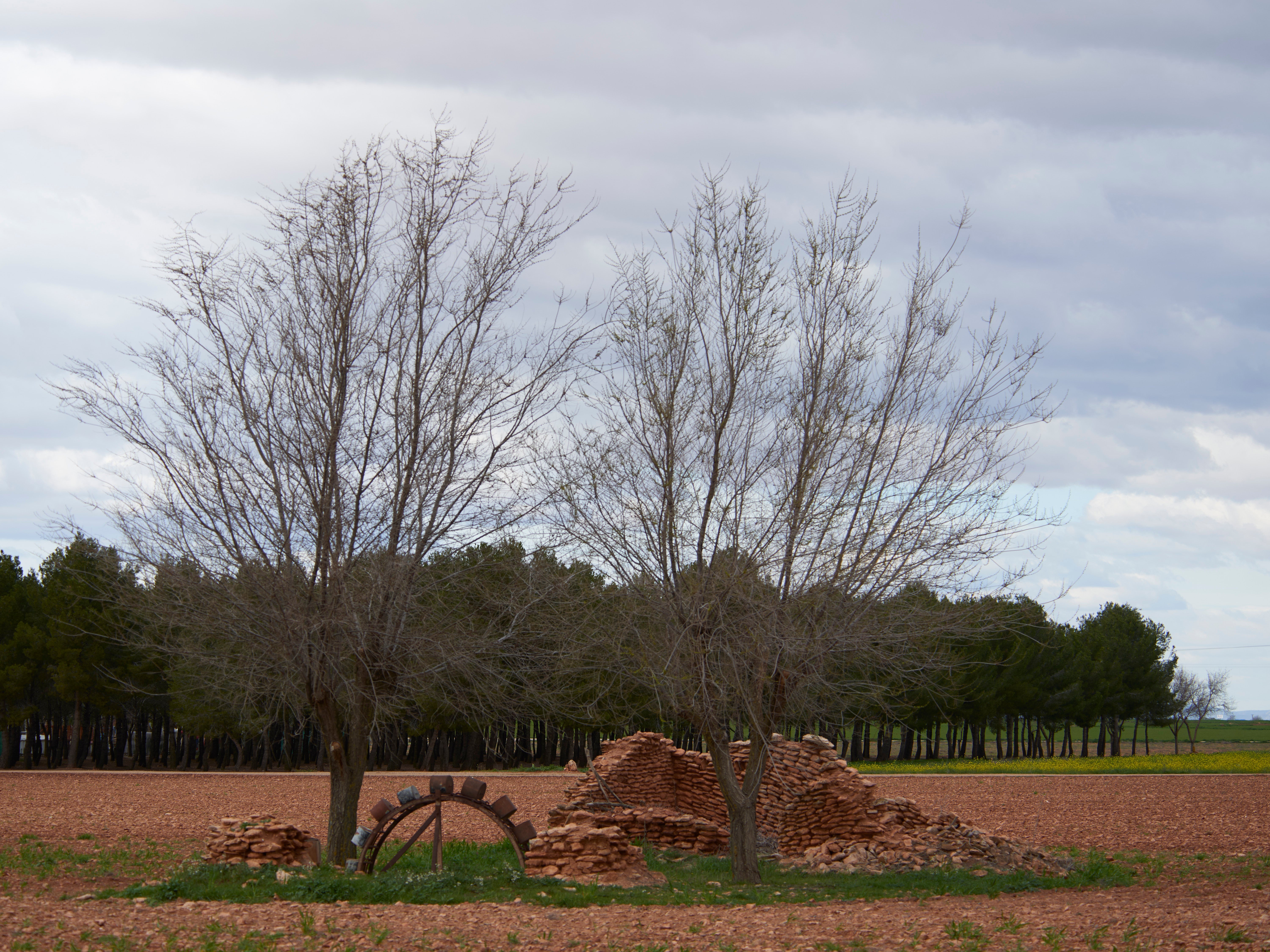 El GDR Alto Guadiana Mancha perfila los proyectos definitivos a ejecutar con fondos FEDER y de la Diputación Provincial El GDR Alto Guadiana Mancha perfila los proyectos definitivos a ejecutar con fondos FEDER y de la Diputación Provincial