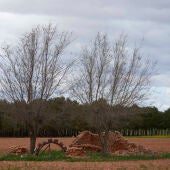 Antigua noria ubicada en el término municipal, Membrilla