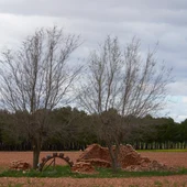 Antigua noria ubicada en el término municipal, Membrilla Antigua noria ubicada en el término municipal, Membrilla