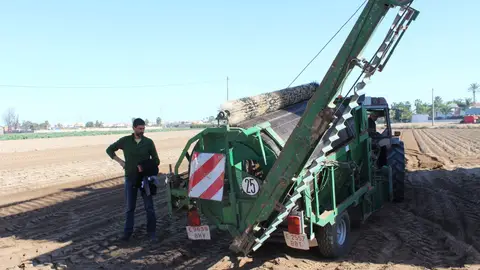 La Unió pide que Agricultura analice la bajada de rendimiento del cultivo de la chufa. La Unió pide que Agricultura analice la bajada de rendimiento del cultivo de la chufa.