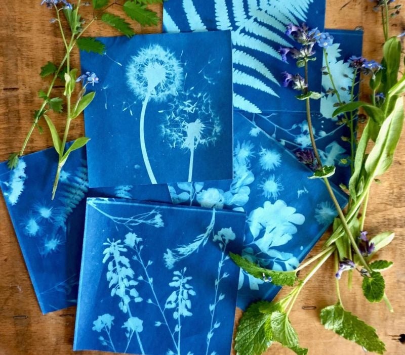 El MUDIC inaugura el año con un taller sobre la Cianotipia para dar a conocer esta técnica fotográfica El MUDIC inaugura el año con un taller sobre la Cianotipia para dar a conocer esta técnica fotográfica