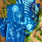 El MUDIC inaugura el año con un taller sobre la Cianotipia para dar a conocer esta técnica fotográfica El MUDIC inaugura el año con un taller sobre la Cianotipia para dar a conocer esta técnica fotográfica