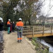 El proyecto Ecobosque do Banquete de Conxo avanza con la recuperación del puente del Cementerio Psiquiátrico y la instalación de nuevas pasarelas y miradores