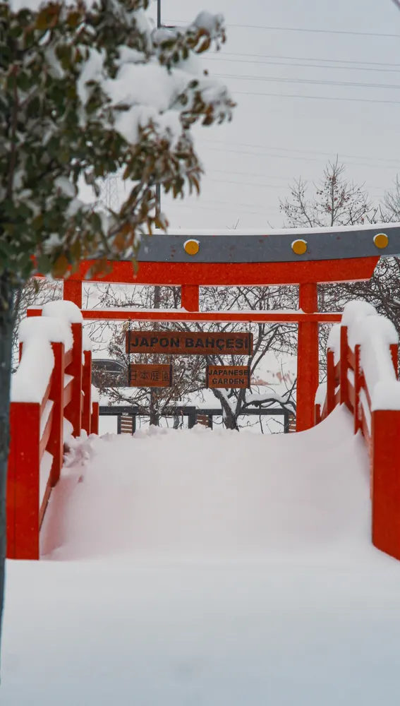 Japón 2026 Japón 2026