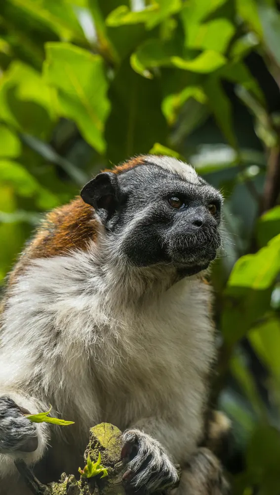 Colombia 2026 Colombia 2026