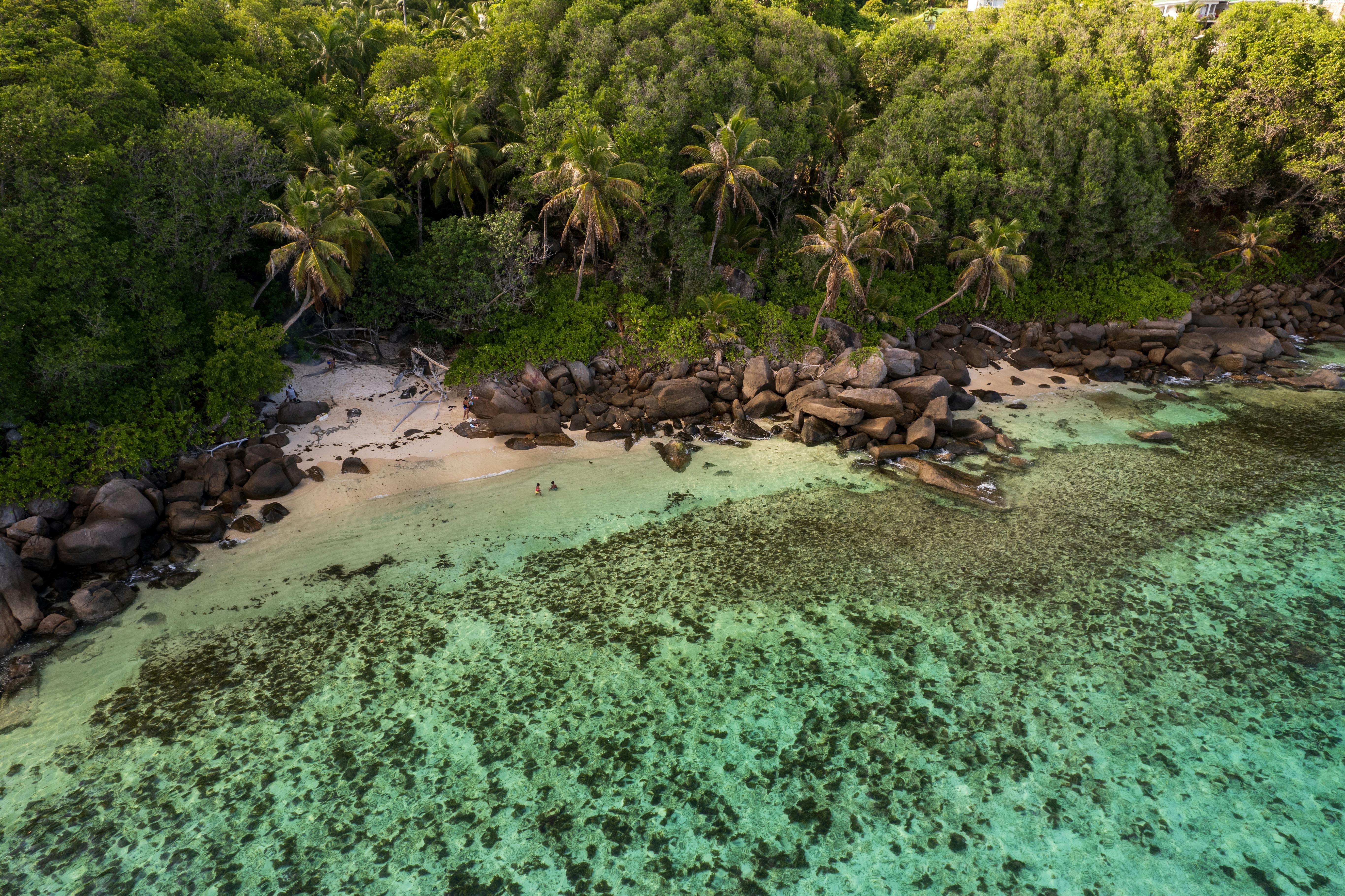Seychelles, el destino más exclusivo y natural del océano Índico episode artwork