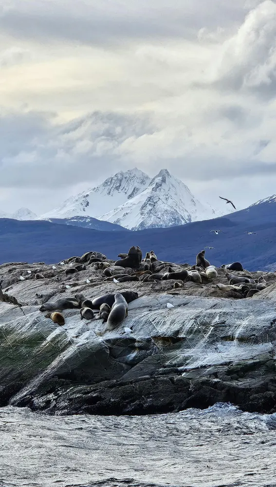 Paisajes de la Antártida Paisajes de la Antártida