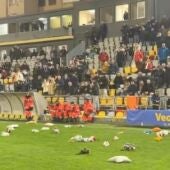 El Orihuela tropieza ante el penúltimo clasificado y no pasa del empate a un gol 
