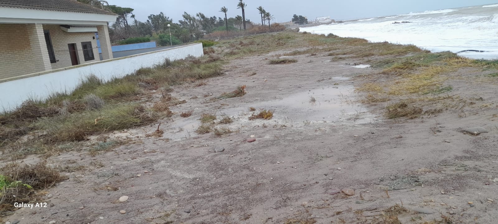 La Asociación Vecinal de las playas de Sagunto denuncia la desprotección y daños en la costa tras el último temporal La Asociación Vecinal de las playas de Sagunto denuncia la desprotección y daños en la costa tras el último temporal