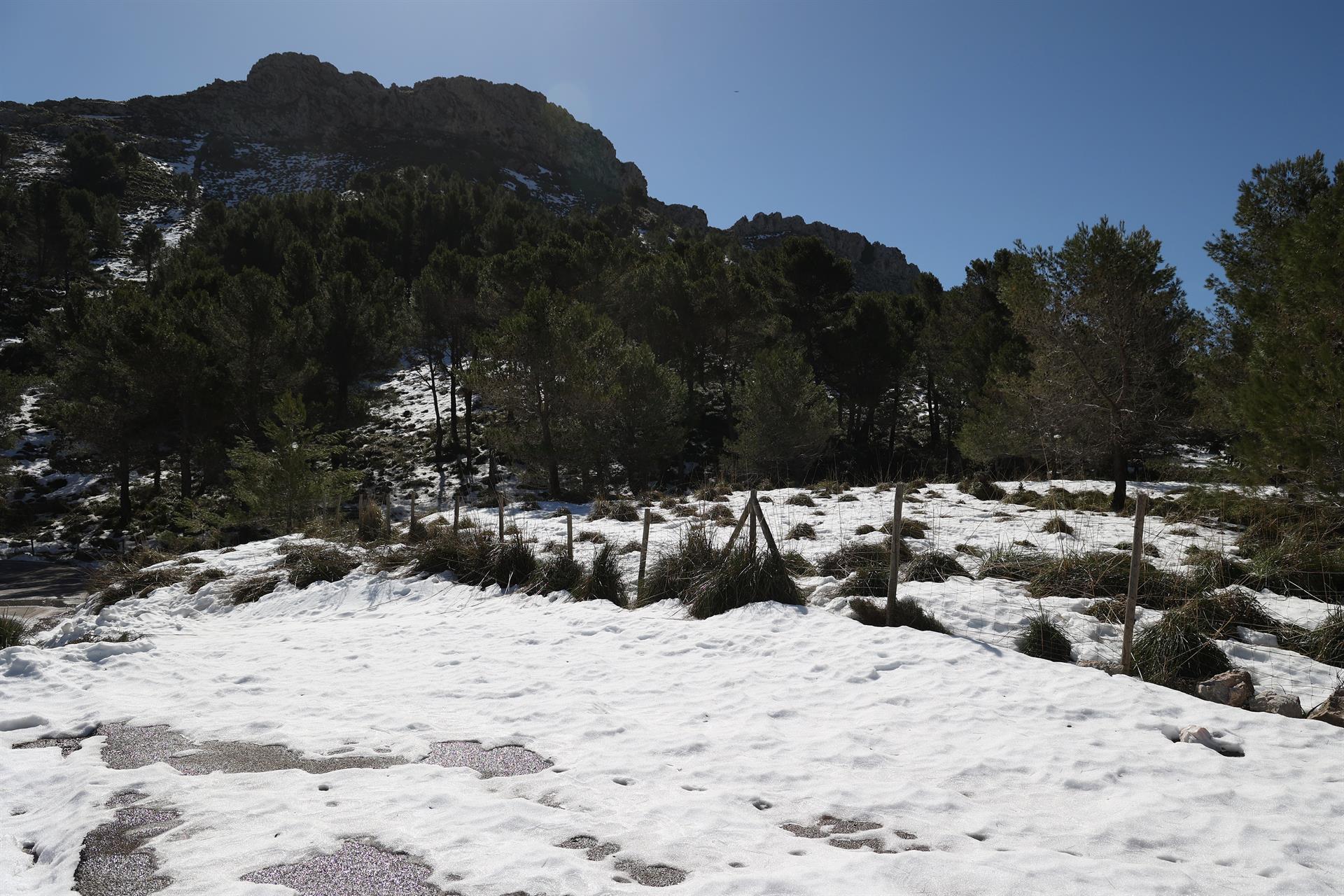 Baja la cota de nieve a 500 metros este miércoles en Mallorca Baja la cota de nieve a 500 metros este miércoles en Mallorca